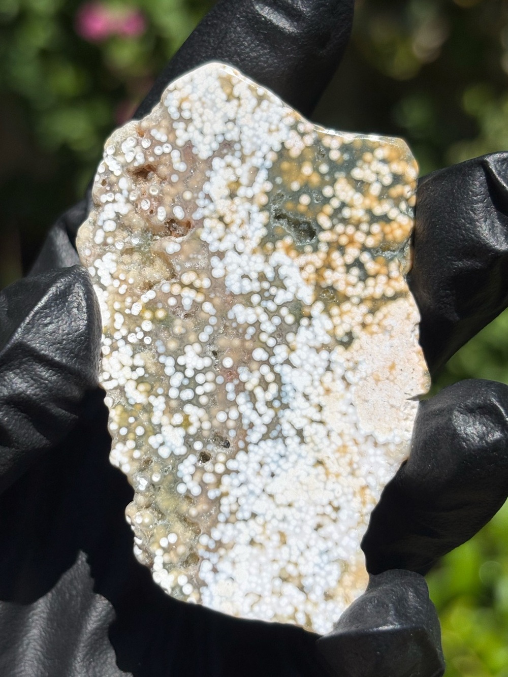 Ocean Jasper Druzy Crystal Slab - Orbicular Jasper - Polished Sea Jasper
